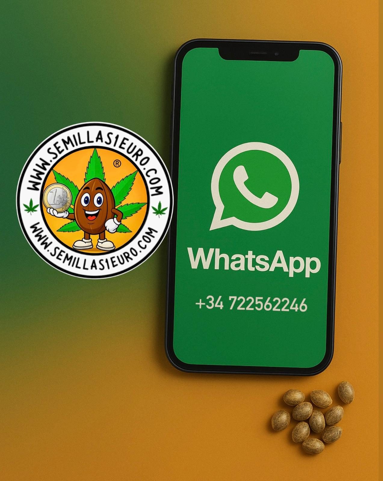 Compra de semillas de marihuana vía WhatsApp Compra tus semillas de marihuana feminizadas y autoflorecientes a través de WhatsApp fácilmente