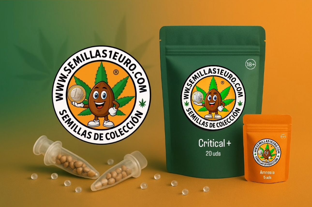 Semillas de marihuana con conservación asegurada Semillas de marihuana de alta calidad envasadas en microtubos con gel de sílice para máxima conservación