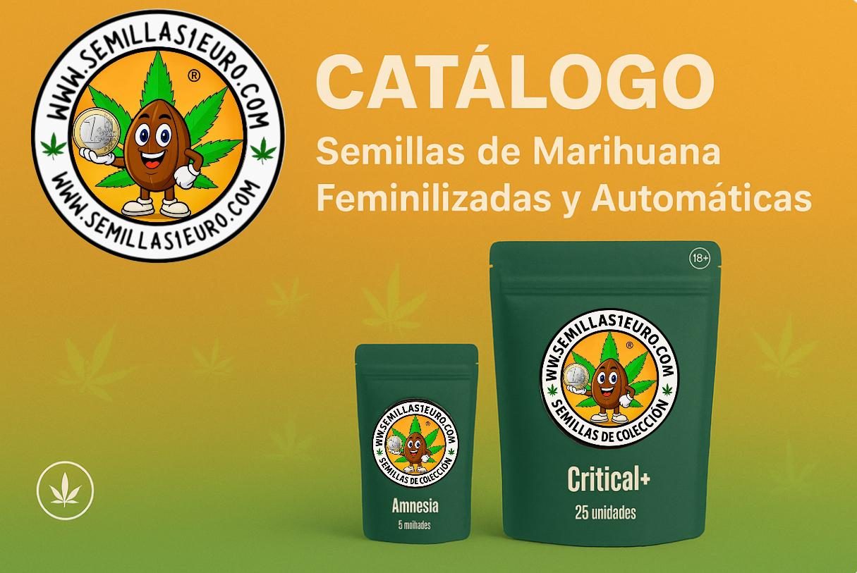 Catálogo de semillas de marihuana a granel en Semillas1euro Semillas de marihuana a granel con las mejores variedades feminizadas y automáticas más productivas